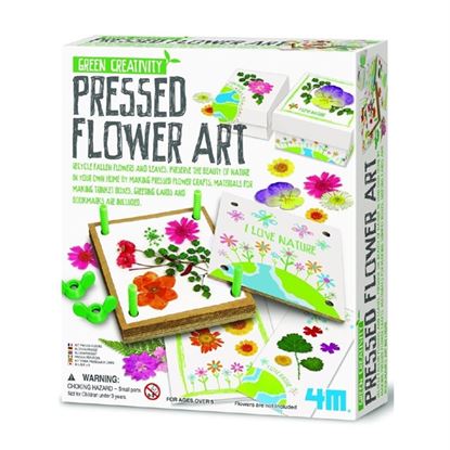Immagine di arte pressa dei fiori